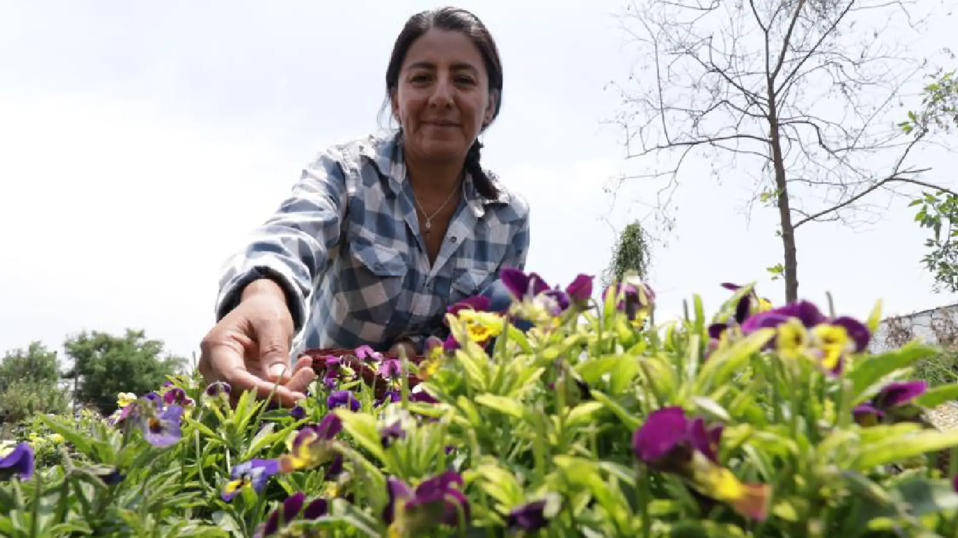 mercado agroecológico en la Colonia Roma